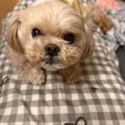 ヒメ日記 2026/03/26 22:00 投稿 東雲ありな 渋谷とある風俗店♡やりすぎコレクション