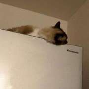 ヒメ日記 2026/03/28 18:50 投稿 東雲ありな 渋谷とある風俗店♡やりすぎコレクション