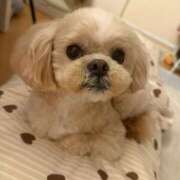 ヒメ日記 2026/04/03 16:50 投稿 東雲ありな 渋谷とある風俗店♡やりすぎコレクション