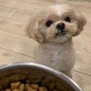 ヒメ日記 2026/04/14 12:20 投稿 東雲ありな 渋谷とある風俗店♡やりすぎコレクション