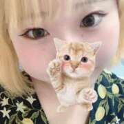 ヒメ日記 2025/08/02 00:25 投稿 うらら 人妻倶楽部内緒の関係 春日部店