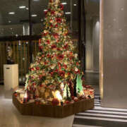 ヒメ日記 2025/12/18 23:20 投稿 きよみ 性腺熟女100％鶯谷（デリヘル市場）