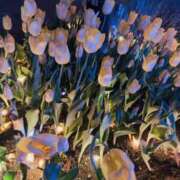 ヒメ日記 2025/10/26 19:42 投稿 永田 熟女の風俗最終章 新横浜店