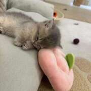 ヒメ日記 2025/10/29 09:26 投稿 永田 熟女の風俗最終章 新横浜店