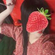 ヒメ日記 2026/01/31 11:07 投稿 真白 ねね 30代40代50代と遊ぶなら博多人妻専科24時