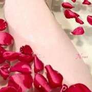 ヒメ日記 2026/04/05 16:04 投稿 真白 ねね 30代40代50代と遊ぶなら博多人妻専科24時