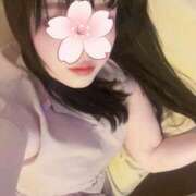 ヒメ日記 2026/04/19 11:42 投稿 真白 ねね 30代40代50代と遊ぶなら博多人妻専科24時