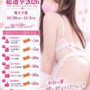 ヒメ日記 2026/09/28 19:10 投稿 真白 ねね 30代40代50代と遊ぶなら博多人妻専科24時