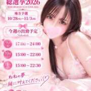 ヒメ日記 2026/10/07 12:47 投稿 真白 ねね 30代40代50代と遊ぶなら博多人妻専科24時