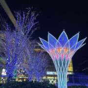 ヒメ日記 2025/12/07 09:39 投稿 つばき AVANCE福岡