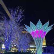 ヒメ日記 2026/01/12 09:59 投稿 つばき AVANCE福岡