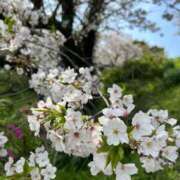 つばき お久しぶりの、 AVANCE福岡