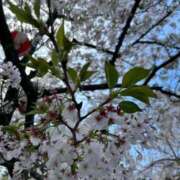 ヒメ日記 2026/04/18 10:01 投稿 つばき AVANCE福岡