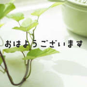 ヒメ日記 2025/07/20 09:22 投稿 早川まい 五十路マダム　和歌山店