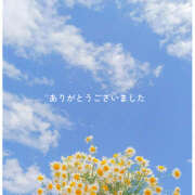 ヒメ日記 2025/07/29 16:02 投稿 早川まい 五十路マダム　和歌山店