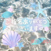 ヒメ日記 2025/08/15 09:42 投稿 早川まい 五十路マダム　和歌山店