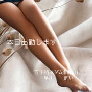 ヒメ日記 2025/09/23 08:54 投稿 早川まい 五十路マダム　和歌山店