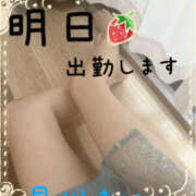 ヒメ日記 2025/11/20 22:08 投稿 早川まい 五十路マダム　和歌山店