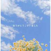 ヒメ日記 2025/12/14 16:24 投稿 早川まい 五十路マダム　和歌山店