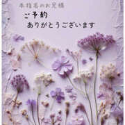 ヒメ日記 2026/01/12 11:12 投稿 早川まい 五十路マダム　和歌山店