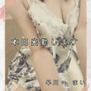 ヒメ日記 2026/01/24 07:58 投稿 早川まい 五十路マダム　和歌山店