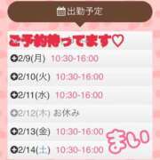 ヒメ日記 2026/02/08 16:50 投稿 早川まい 五十路マダム　和歌山店