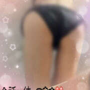 ヒメ日記 2026/02/10 07:36 投稿 早川まい 五十路マダム　和歌山店