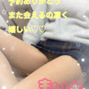 ヒメ日記 2026/02/19 11:06 投稿 早川まい 五十路マダム　和歌山店