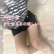 ヒメ日記 2026/02/25 14:42 投稿 早川まい 五十路マダム　和歌山店