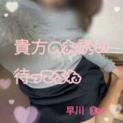 ヒメ日記 2026/02/28 09:58 投稿 早川まい 五十路マダム　和歌山店