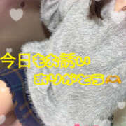 ヒメ日記 2026/03/06 14:20 投稿 早川まい 五十路マダム　和歌山店