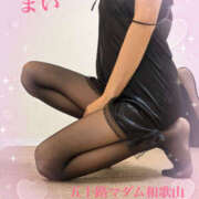 ヒメ日記 2026/03/31 07:44 投稿 早川まい 五十路マダム　和歌山店