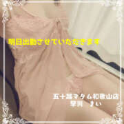 ヒメ日記 2026/04/05 19:52 投稿 早川まい 五十路マダム　和歌山店