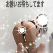 ヒメ日記 2026/04/06 09:42 投稿 早川まい 五十路マダム　和歌山店