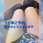 ヒメ日記 2026/04/12 11:56 投稿 早川まい 五十路マダム　和歌山店