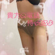 ヒメ日記 2026/04/16 09:34 投稿 早川まい 五十路マダム　和歌山店