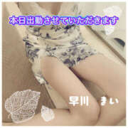 ヒメ日記 2026/04/20 07:28 投稿 早川まい 五十路マダム　和歌山店