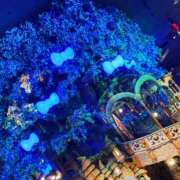 ヒメ日記 2025/09/05 22:09 投稿 るるか 厚木人妻城