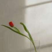 ヒメ日記 2026/03/05 20:31 投稿 れい CHIANTI OKINAWA