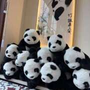 ヒメ日記 2025/12/09 06:21 投稿 せつな★色気溢れる和風美人★ Bell～S級美女お姉様・人妻デリヘル～