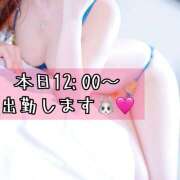 ヒメ日記 2025/07/28 08:05 投稿 なな わたしのっ部屋に