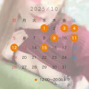 ヒメ日記 2025/09/24 17:05 投稿 なな わたしのっ部屋に