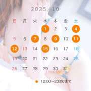 ヒメ日記 2025/10/07 16:10 投稿 なな わたしのっ部屋に