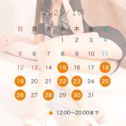 ヒメ日記 2025/10/12 08:05 投稿 なな わたしのっ部屋に