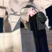 ヒメ日記 2025/12/07 12:05 投稿 なな わたしのっ部屋に