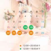 ヒメ日記 2026/02/13 12:05 投稿 なな わたしのっ部屋に