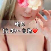 ヒメ日記 2026/02/17 08:05 投稿 なな わたしのっ部屋に