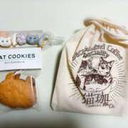 ヒメ日記 2026/02/23 22:05 投稿 なな わたしのっ部屋に