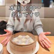 ヒメ日記 2026/03/07 08:05 投稿 なな わたしのっ部屋に