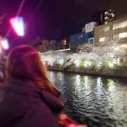 ヒメ日記 2026/04/04 12:05 投稿 なな わたしのっ部屋に